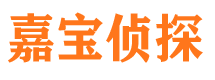 西城寻人公司